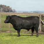 C5_T3174