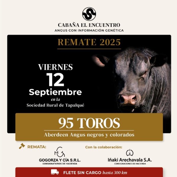 Remate Anual 2025