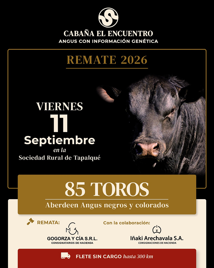 Remate Anual 2026